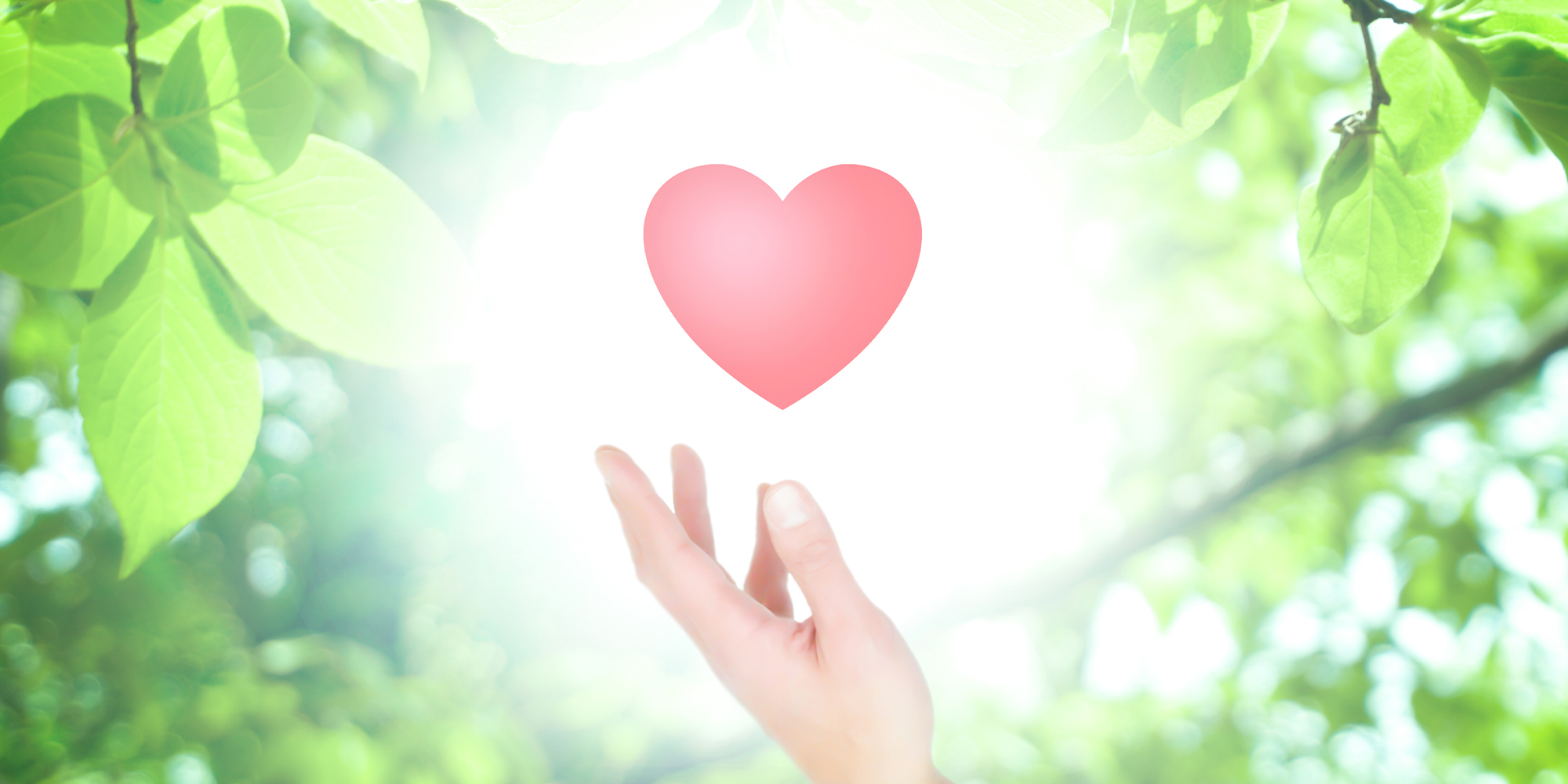 みやぎいのちと人権リソースセンター